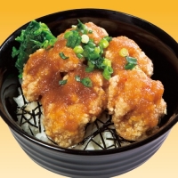 とりからおろし丼