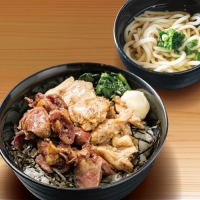 ハラミ・ハツ炭火焼き鳥丼ミニうどんセット